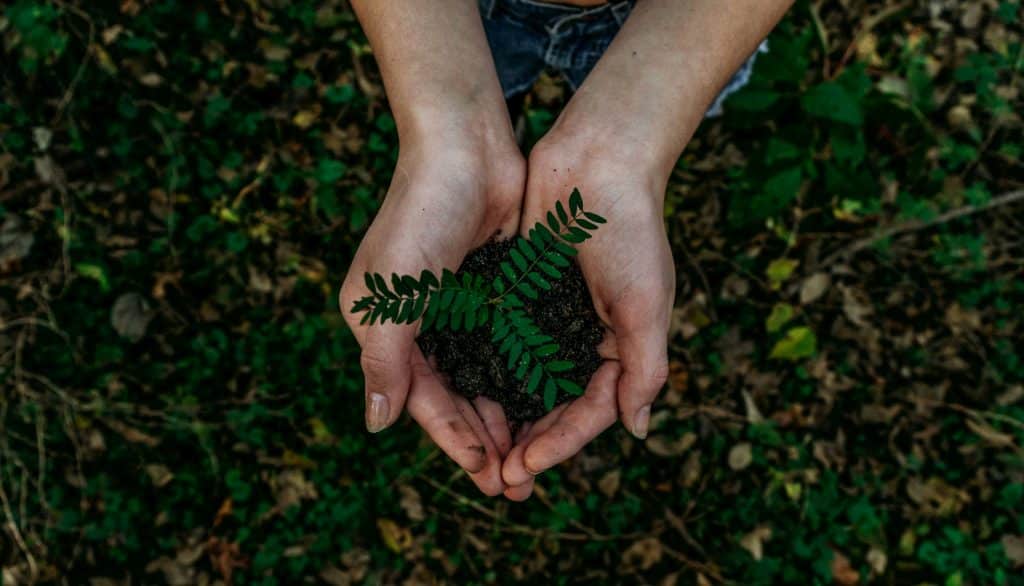 young entrepreneurs with eco-ambitions