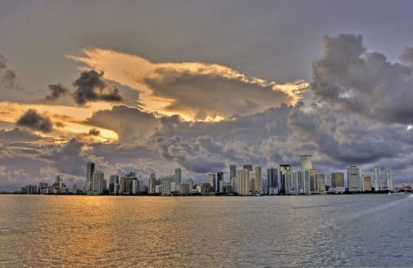 Smattern miami 2736233